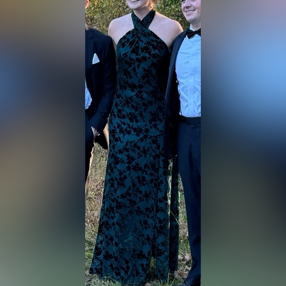 Revelry Emerald Green Athena Floral Burnout Velvet Gown - Picture 8 of 8